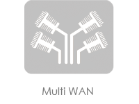 Multi WAN