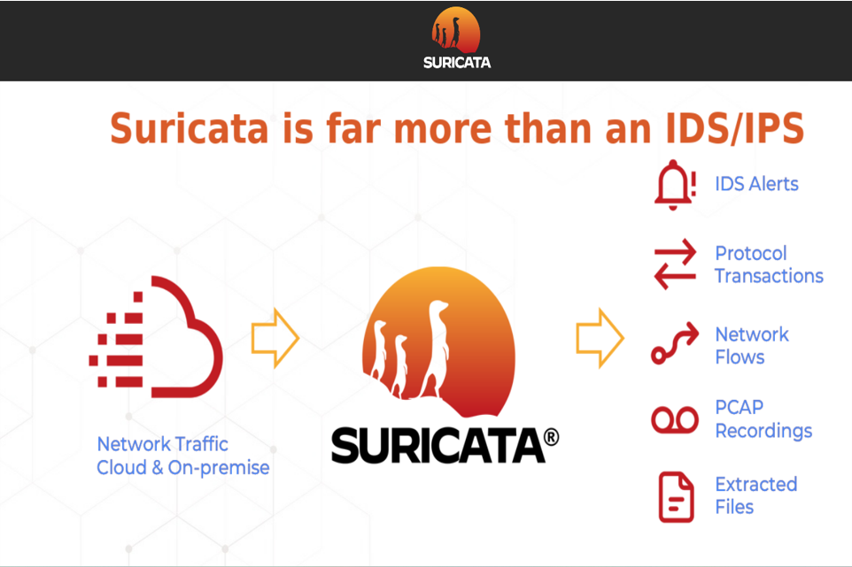 Vigor3912 SSD Application with Suricata